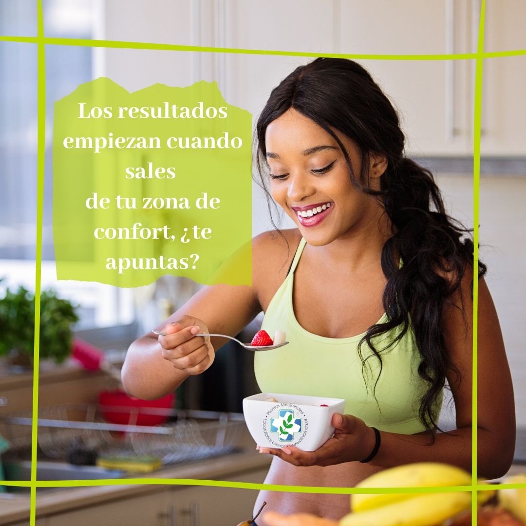 Men&uacute; cena vegetariana, Clinictech