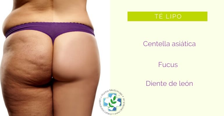 infusion anti celulitis te lipo