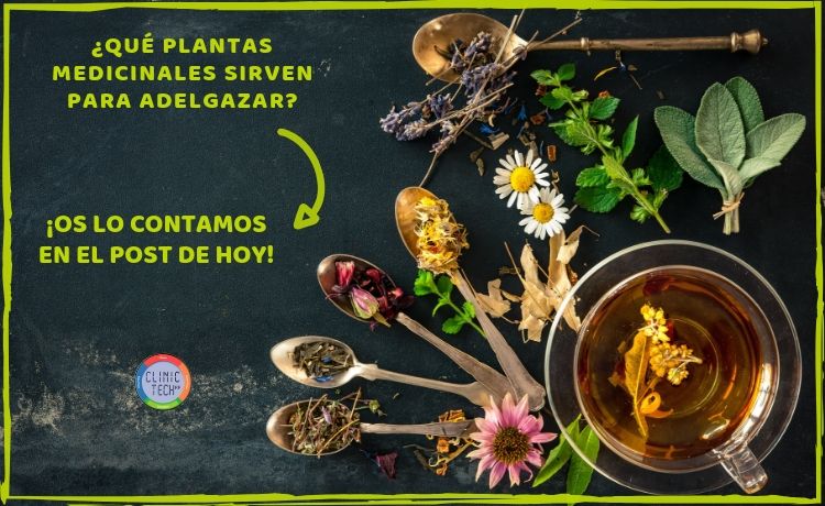 Plantas medicinales para adelgazar, Clinictech