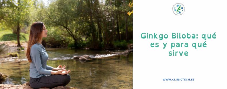 Ginkgo biloba: qué es y para qué sirve 