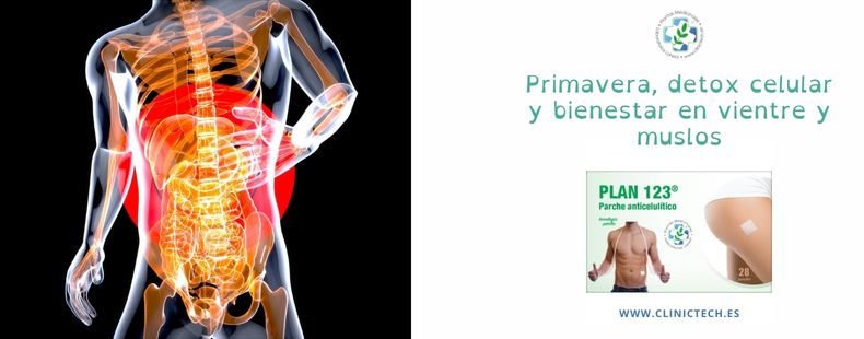 Primavera, detox celular y bienestar en vientre y muslos